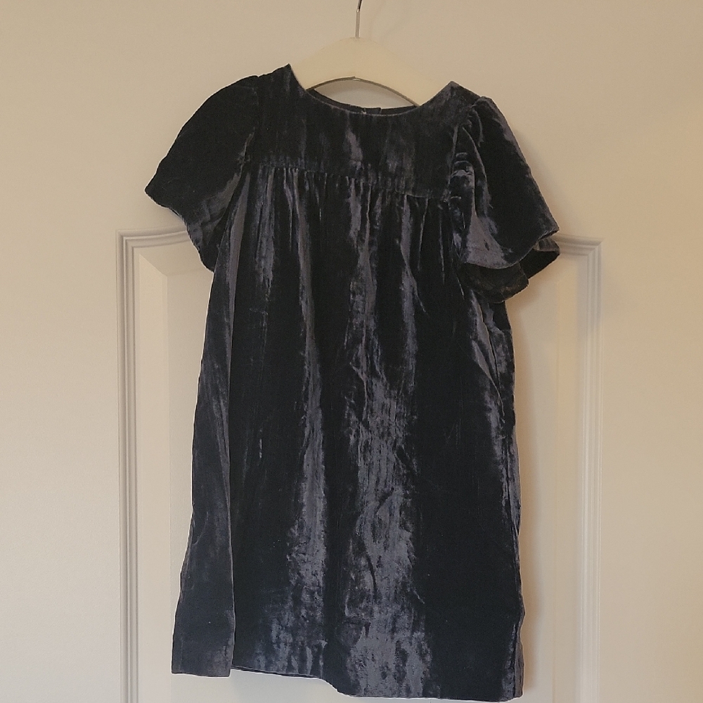 Crewcuts Navy Velvet Dress